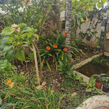 Apartmán el Jardín